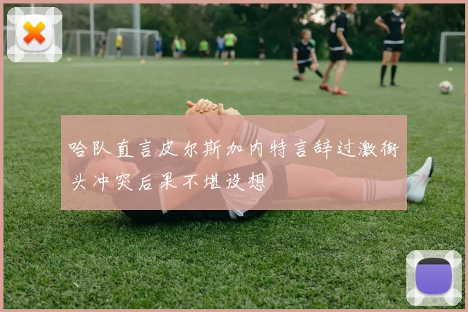 哈队直言皮尔斯加内特言辞过激街头冲突后果不堪设想